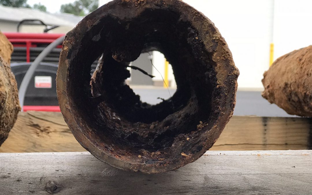 Drain Clogs | Prevention Tips