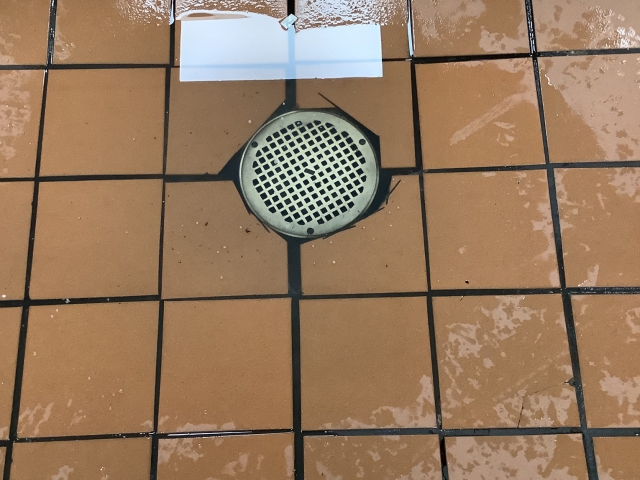 Clogged Drain